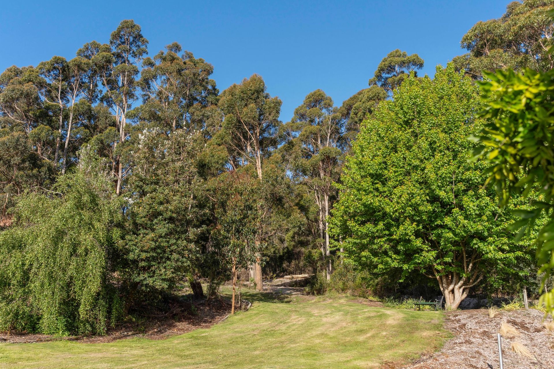 383 Castra Road, Ulverstone, TAS 7315