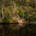 1519 Loongana Road, Loongana, TAS 7315