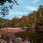 1519 Loongana Road, Loongana, TAS 7315
