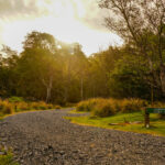 1519 Loongana Road, Loongana, TAS 7315
