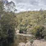 1519 Loongana Road, Loongana, TAS 7315