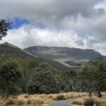 1519 Loongana Road, Loongana, TAS 7315