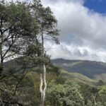 1519 Loongana Road, Loongana, TAS 7315