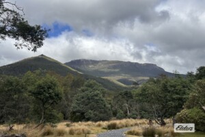 1519 Loongana Road, Loongana, TAS 7315