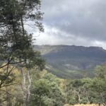 1519 Loongana Road, Loongana, TAS 7315
