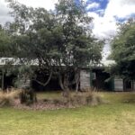 1519 Loongana Road, Loongana, TAS 7315