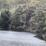 1519 Loongana Road, Loongana, TAS 7315