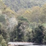 1519 Loongana Road, Loongana, TAS 7315
