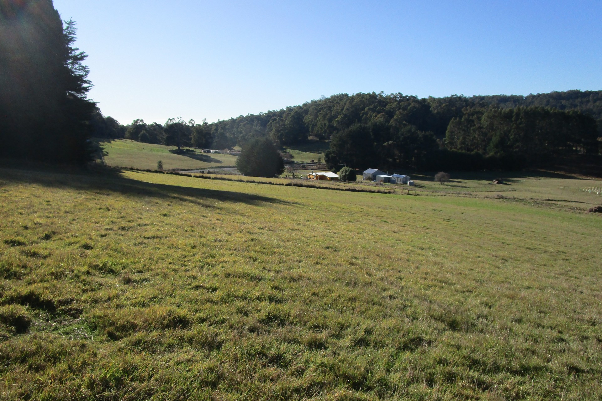 1951 Wilmot Road, Lower Wilmot, TAS 7310