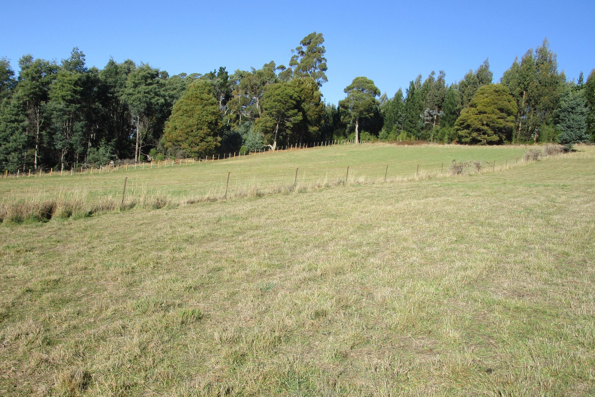 1951 Wilmot Road, Lower Wilmot, TAS 7310