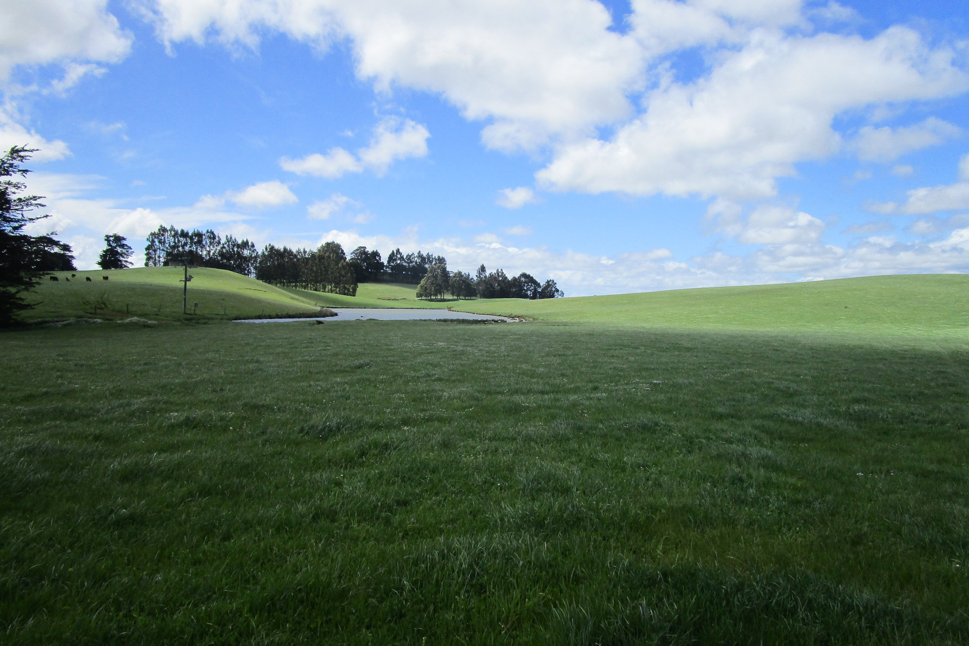 65 Preston-Castra Road, Preston, TAS 7315