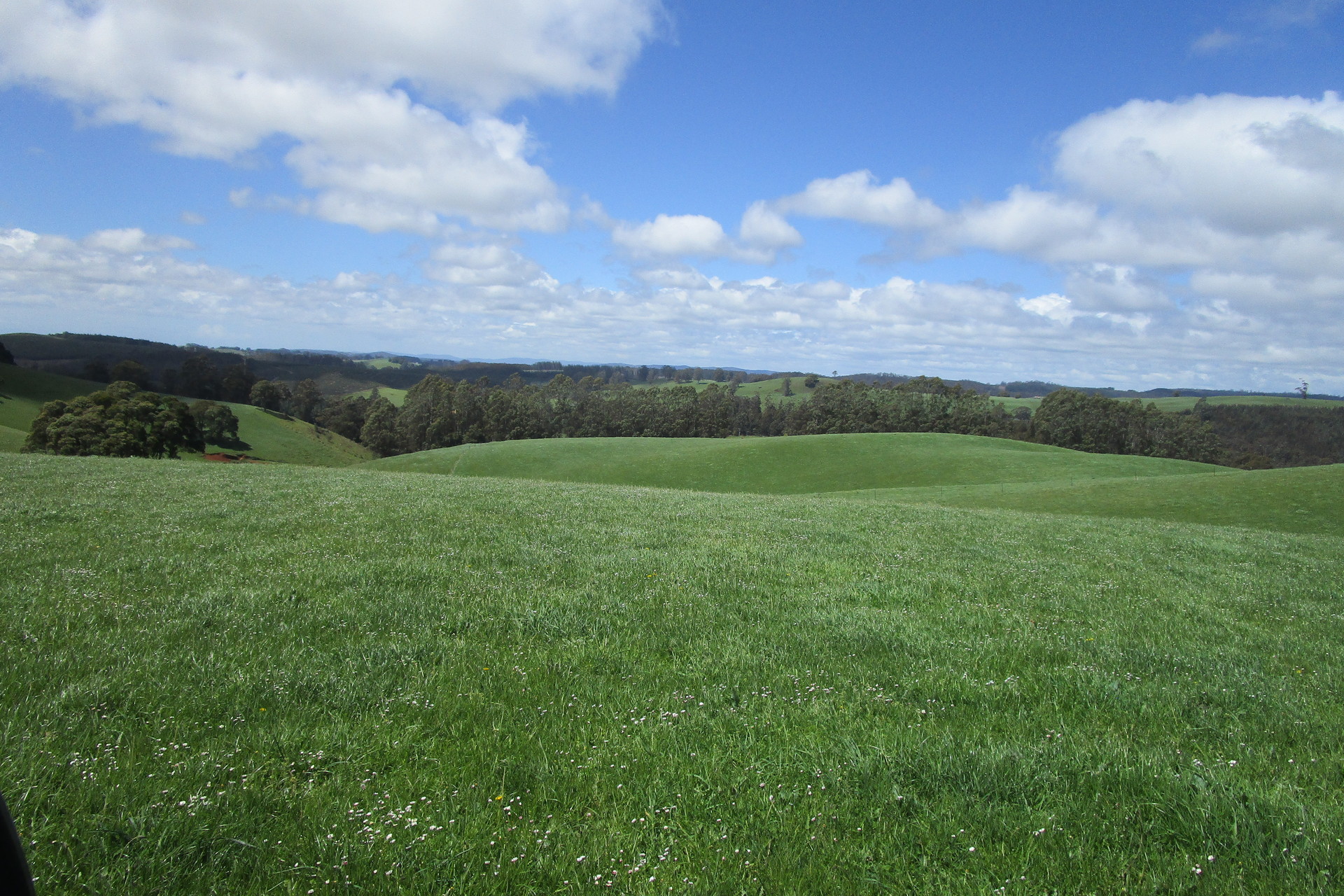 65 Preston-Castra Road, Preston, TAS 7315