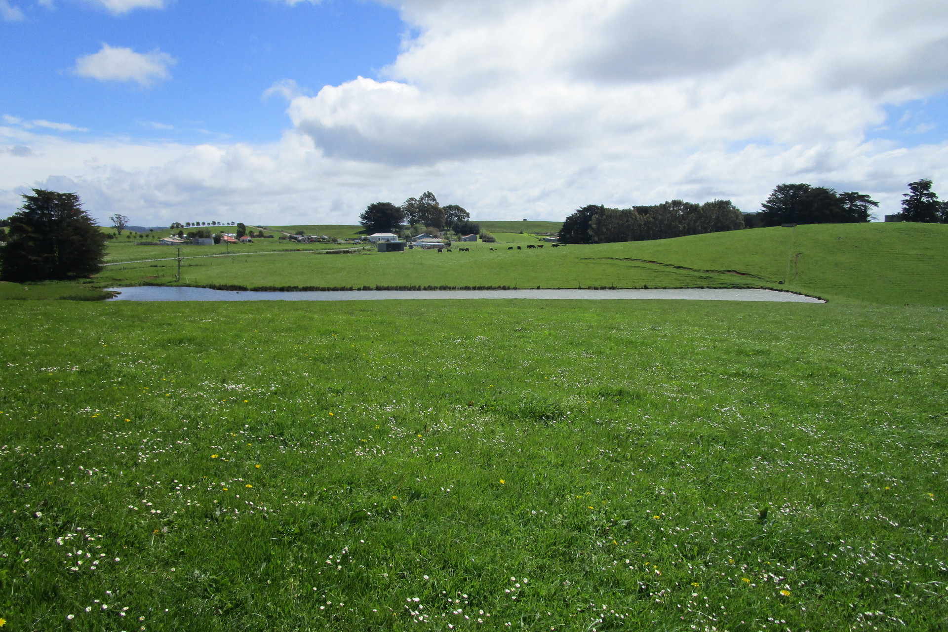 65 Preston-Castra Road, Preston, TAS 7315