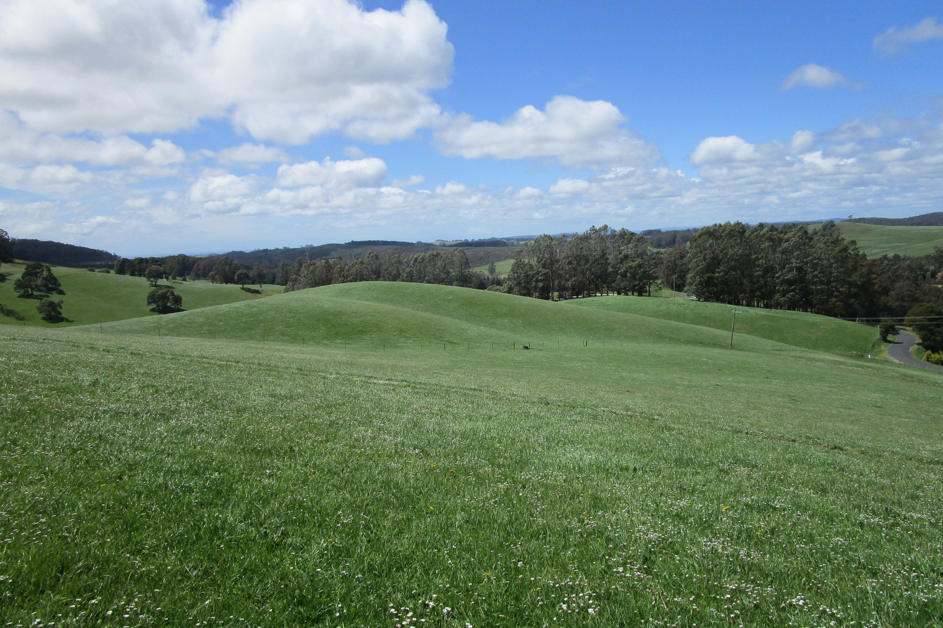 65 Preston-Castra Road, Preston, TAS 7315