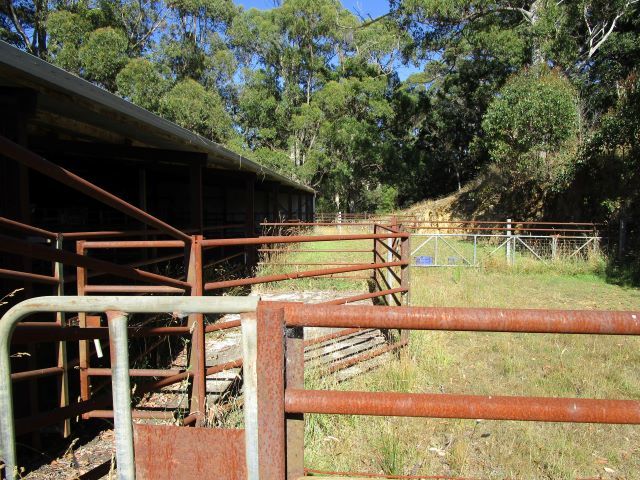 65 Preston-Castra Road, Preston, TAS 7315