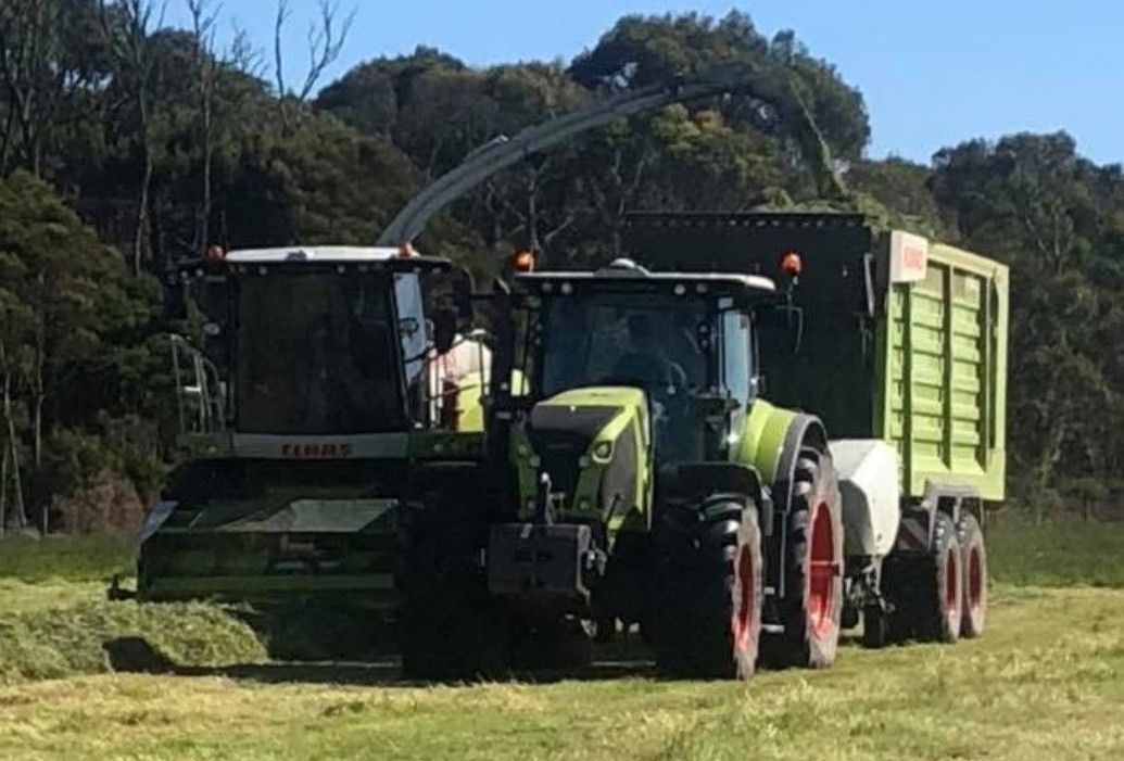 83P1715-Rural/Crop Harvesting-Rural/Farming-Rural/Agricultural-TAS-7310