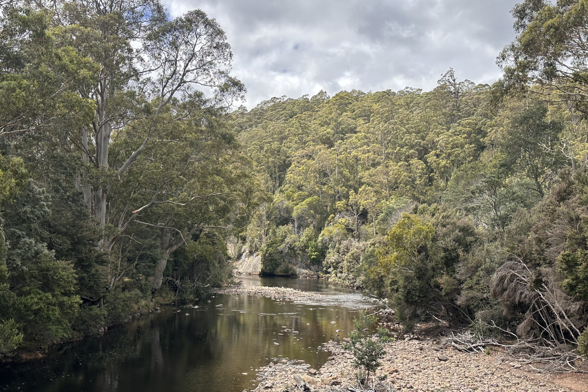 1519 Loongana Road, Loongana, TAS 7315