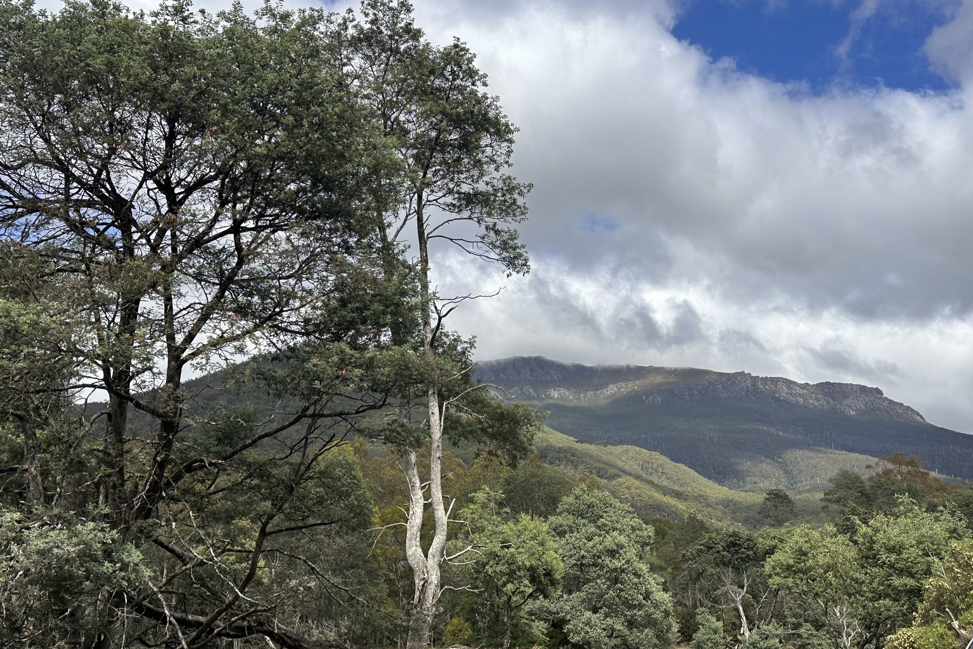 1519 Loongana Road, Loongana, TAS 7315