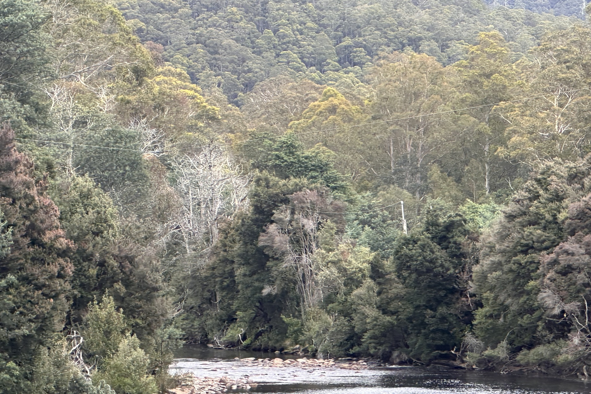 1519 Loongana Road, Loongana, TAS 7315