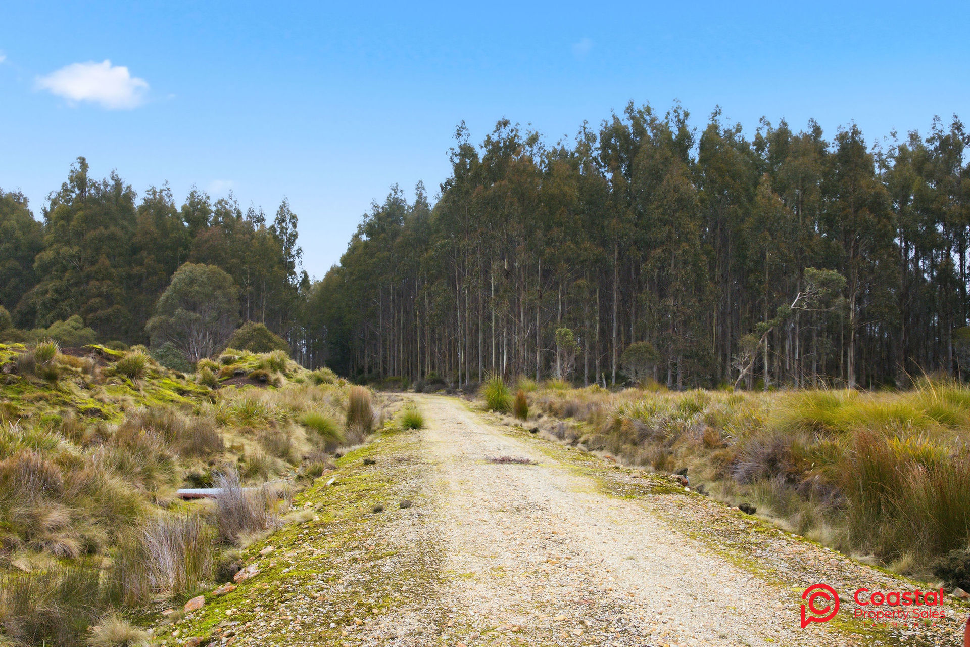 Waratah Road, Waratah, TAS 7321
