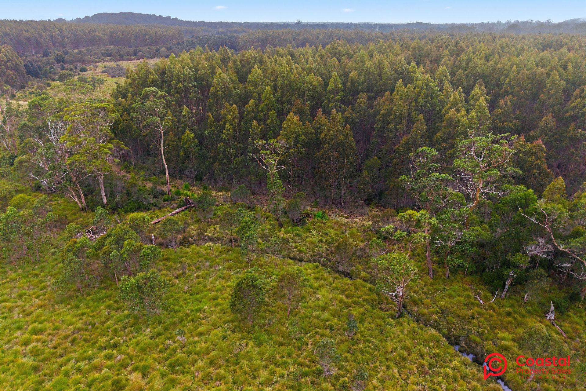 Waratah Road, Waratah, TAS 7321