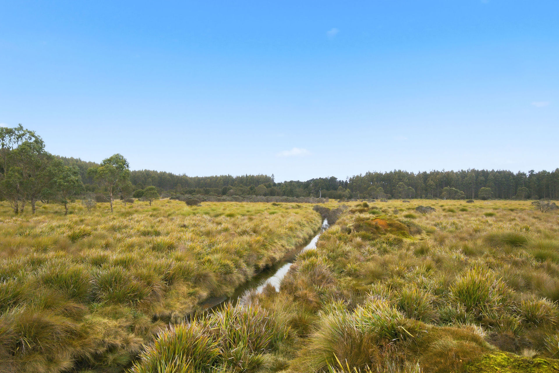Waratah Road, Waratah, TAS 7321