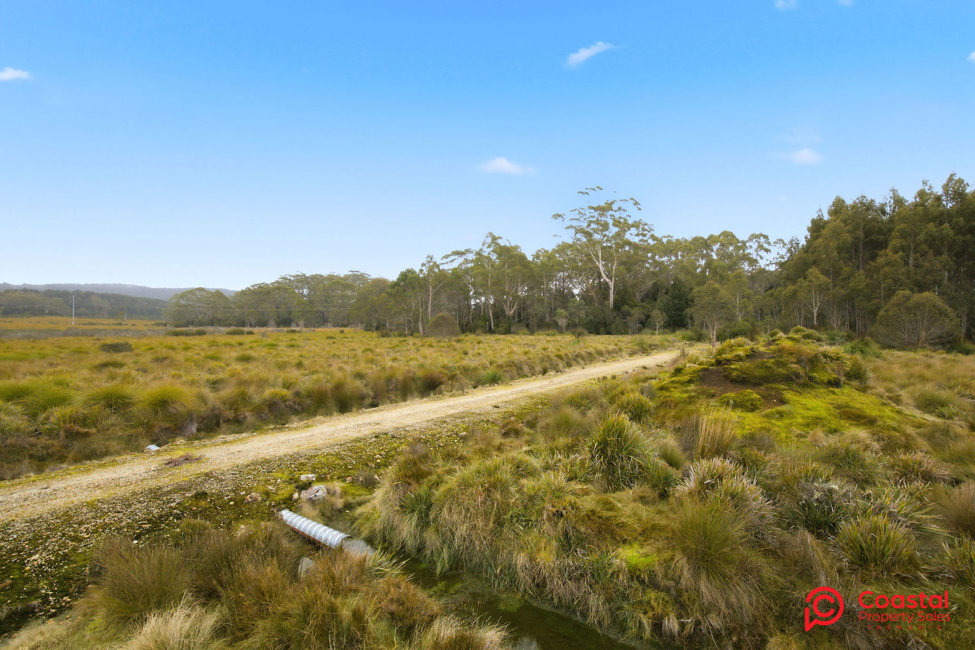 Waratah Road, Waratah, TAS 7321