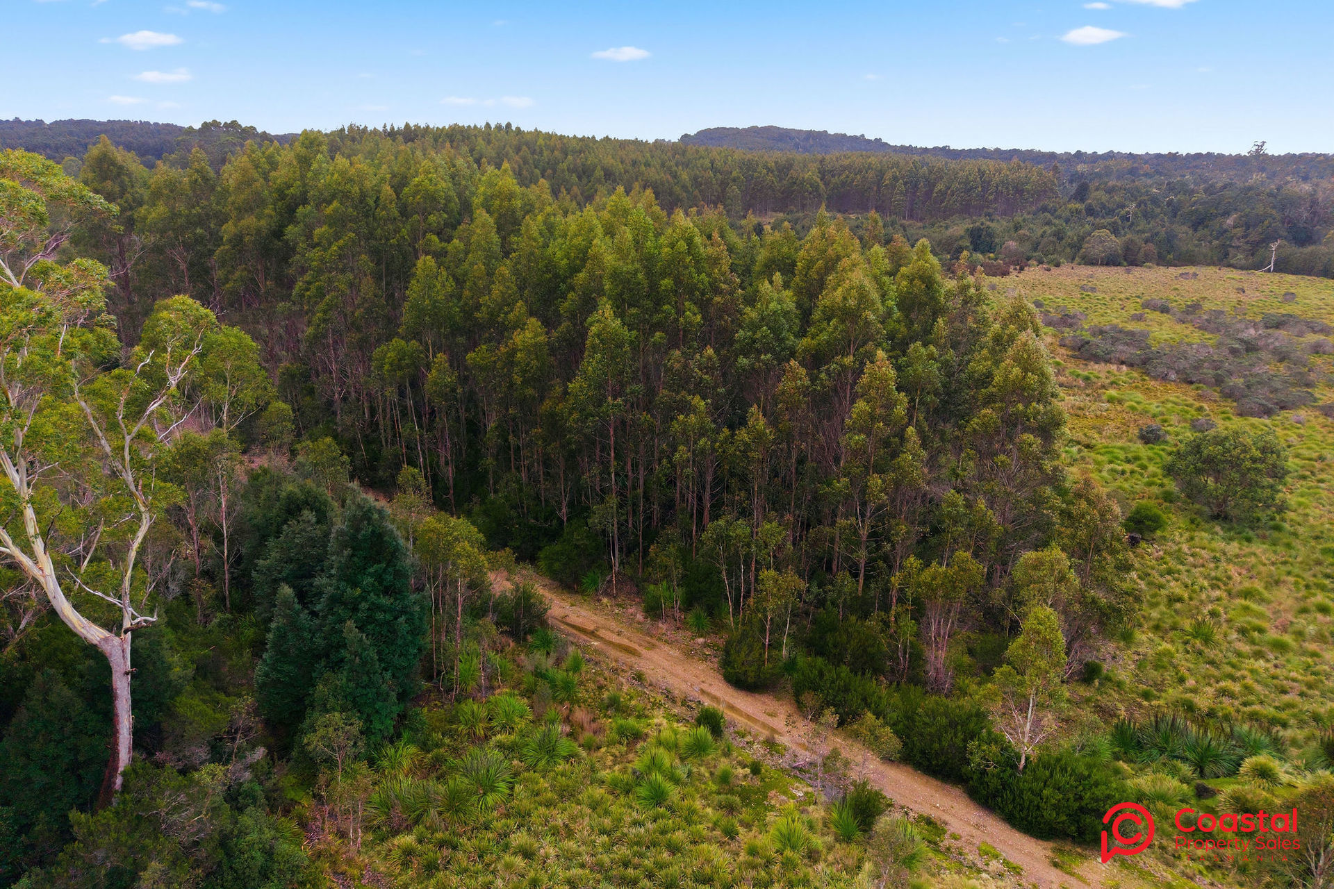 Waratah Road, Waratah, TAS 7321