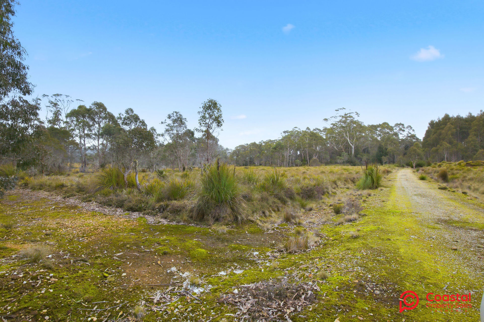 Waratah Road, Waratah, TAS 7321