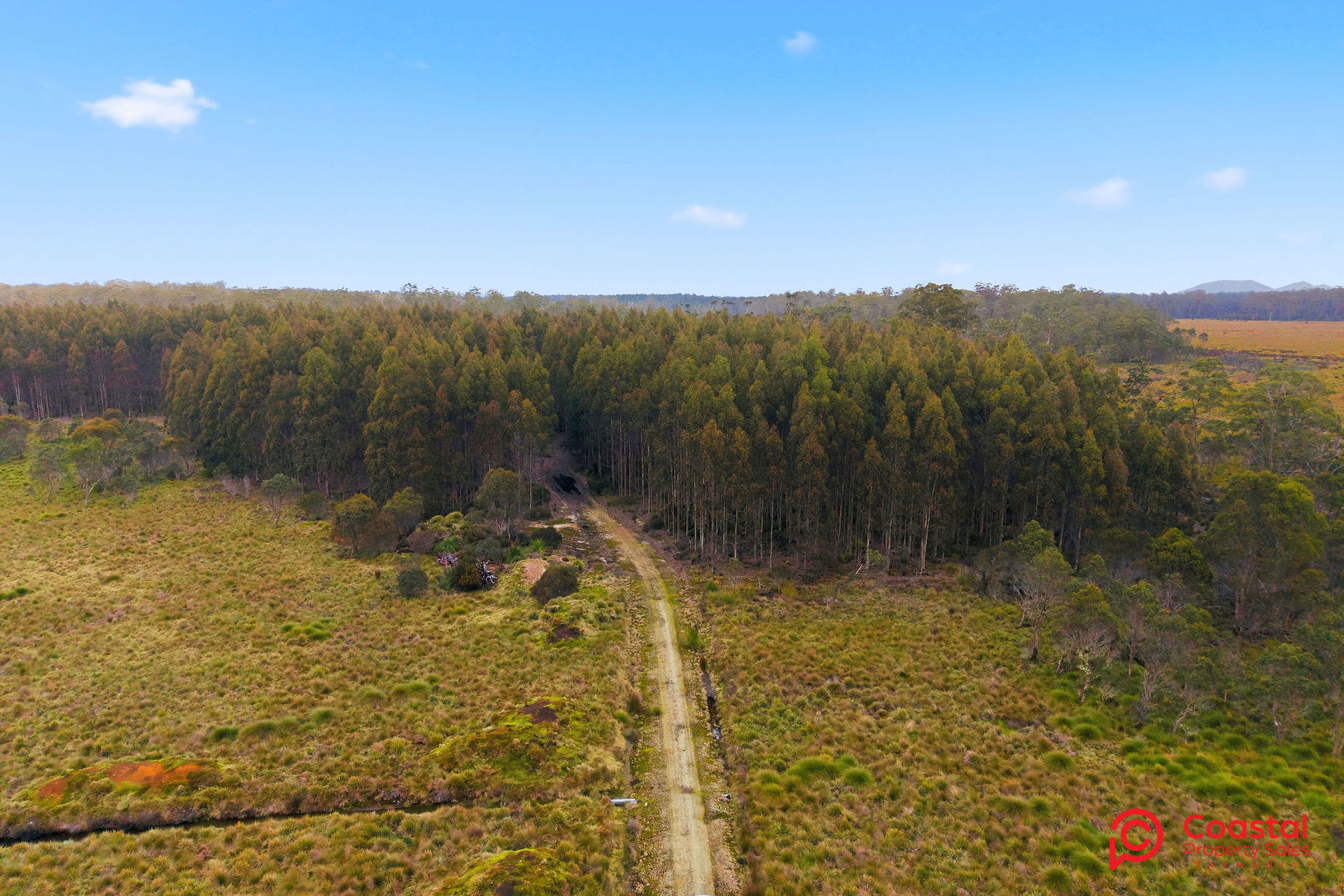 Waratah Road, Waratah, TAS 7321