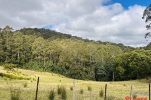 Harveys Road, North Motton, TAS 7315